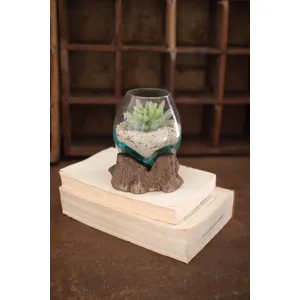 Small Blown Glass Bowl on Driftwood Base 1