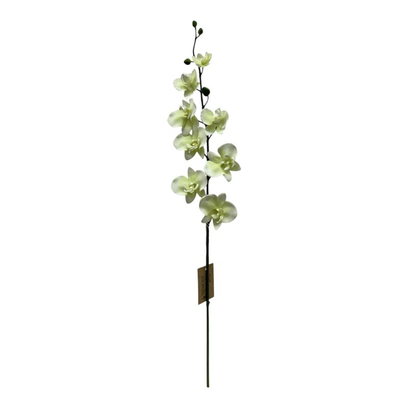 33.5" Orchid Spray - Cream