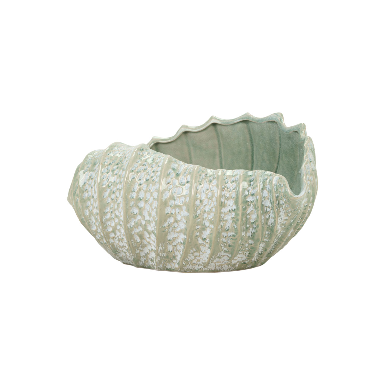 Cintronade Bowl 2