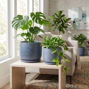 FIONAOAK SET OF 2 BLUE PLANTER 10 (IN) 2