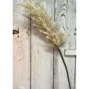 Cream Flocked Pampas 2