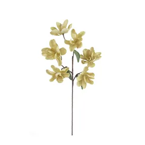 Botanica #3606 4