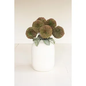 Botanica #3620 1