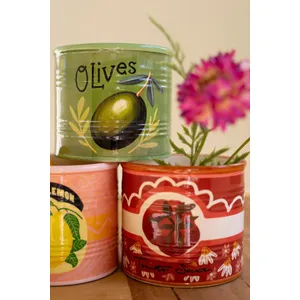 Set of 3 Ceramic Canned Goods Planters 2