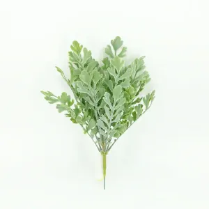 Lambsear Fern 15in 1
