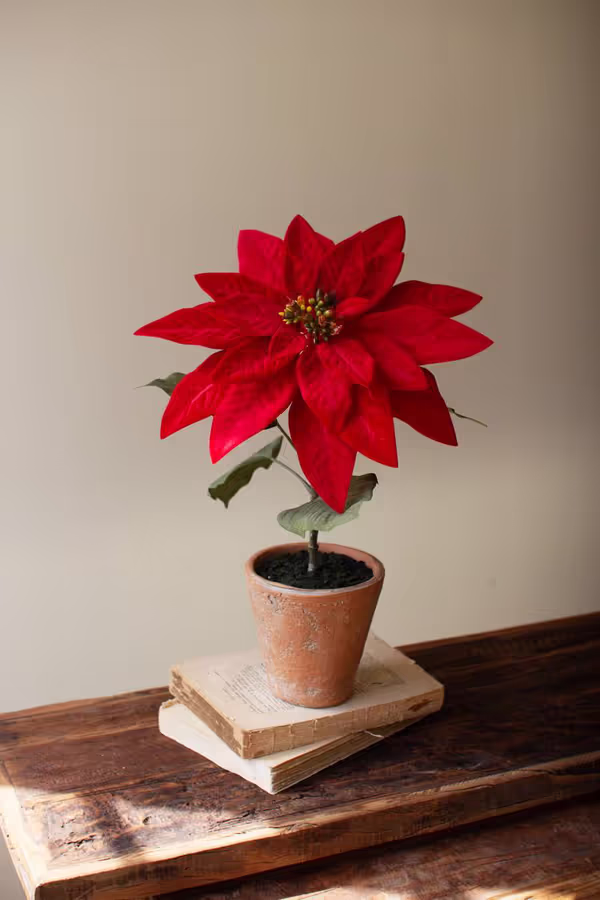 Artificial Poinsettias in a Cement Pot / Red