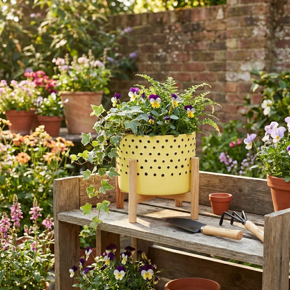 COLECREST YELLOW PLANTER 9 (IN)