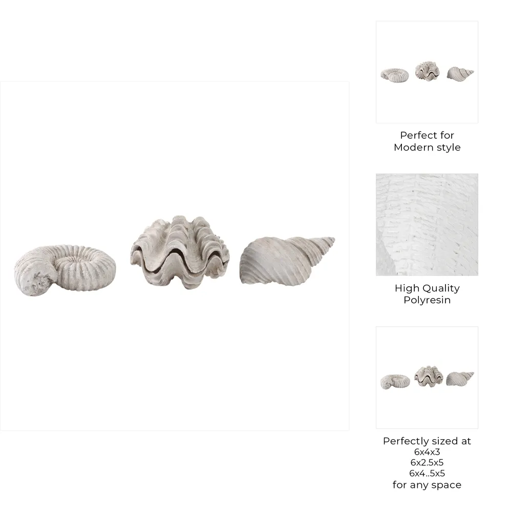 ETHANWICK SET OF 3 IVORY DECOR 5 (IN)