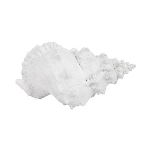 BROGANTON WHITE DECOR 5 (IN) 8