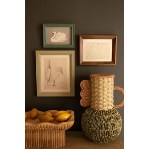Set of 3 Framed Bird Illustrations Under Glass 5