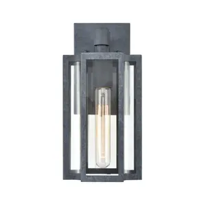 Bianca 13″ High 1-Light Outdoor Sconce - Aged Zinc 2