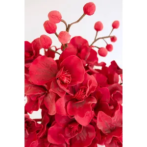 Botanica #2833 3