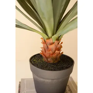 Artificial Sisal Plant in Black Plastic Pot 2