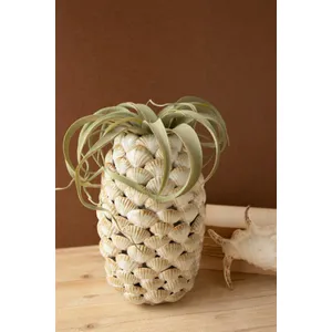 Ceramic Shells Vase 2