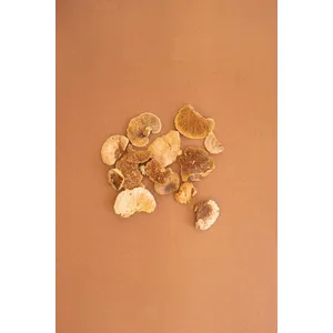 Bag of 48 Dried Sponge Mushrooms 2