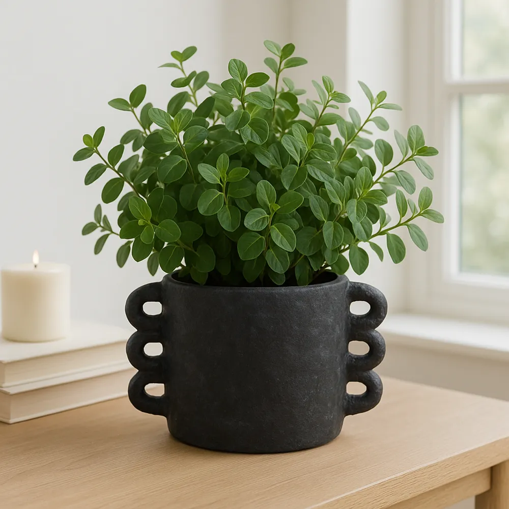 ARLOWHAVEN BLACK PLANTER 7 (IN)