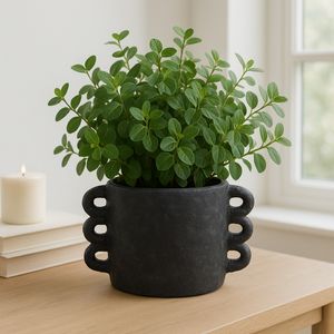 ARLOWHAVEN BLACK PLANTER 7 (IN) 10