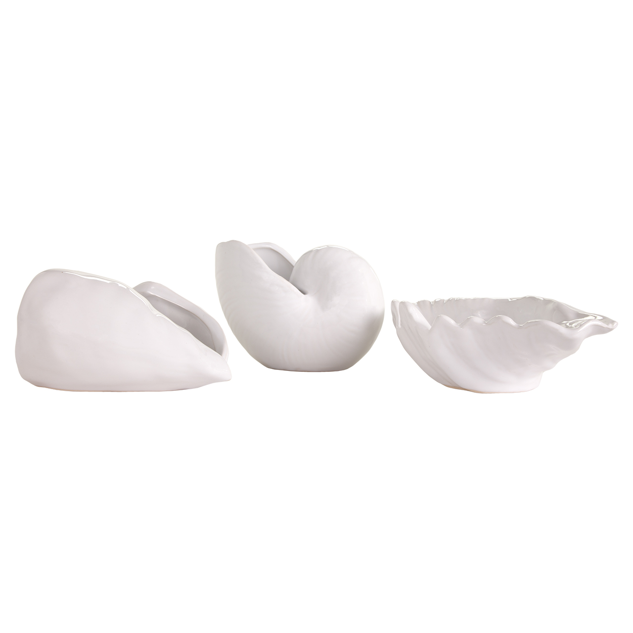 Missouri Shells -Ea 3