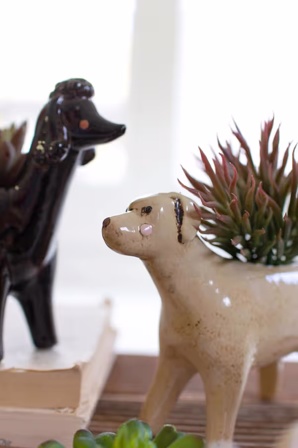 Set of 5 Ceramic Dog Planters