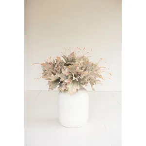 Botanica #2848 2