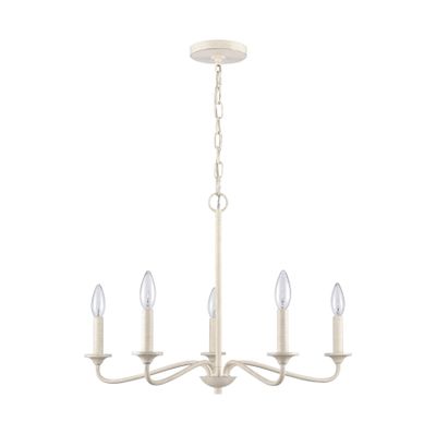 Quinn 24″ Wide 5-Light Chandelier - Antique White