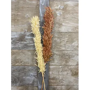 Brown Avana Grass 39in 4