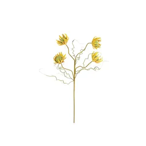 Botanica #2688 4
