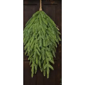 Modern Spruce Stem 22in 1