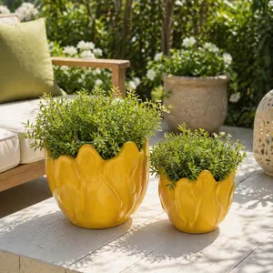 DRYDENRUN SET OF 2 YELLOW PLANTER 7 (IN) 2