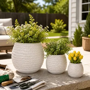 HILTONCLIFF SET OF 3 IVORY PLANTER 10 (IN) 10