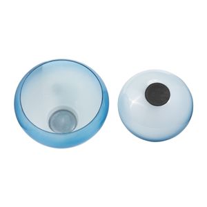 LOCHWOOD SET OF 2 BLUE BOWLS 9 (IN) 7