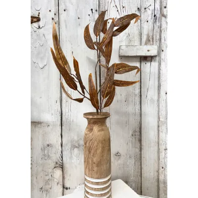 Autumn Eucalyptus Stem