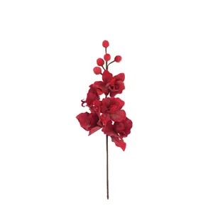 Botanica #2833 4