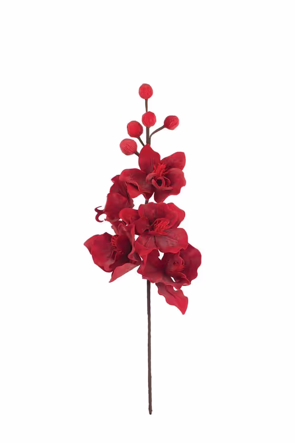 Botanica #2833