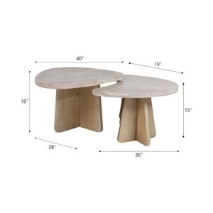 RIDER SET OF 2 BROWN COFFEE TABLES 18 (IN) 10
