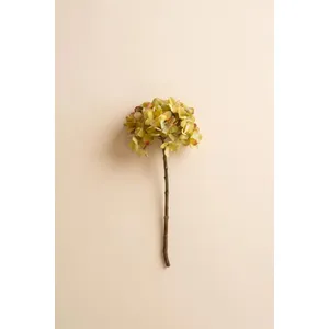Botanica #2906 3