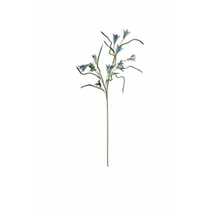 Botanica #3384 1