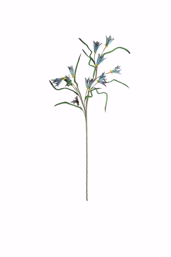 Botanica #3384