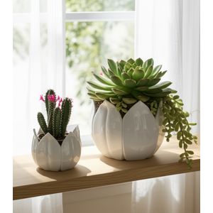 GENTRYWIND SET OF 2 WHITE PLANTER 10 (IN) 11