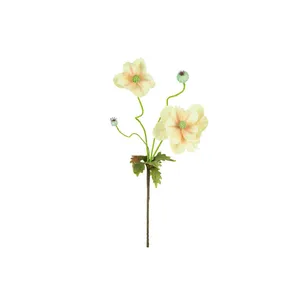 Botanica #2798 4