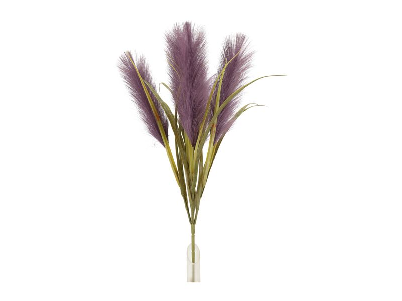Feather Grass Bush, Purple 1