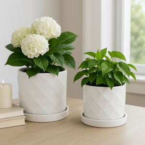 HEWITTROSE SET OF 2 WHITE PLANTER 11 (IN) 10