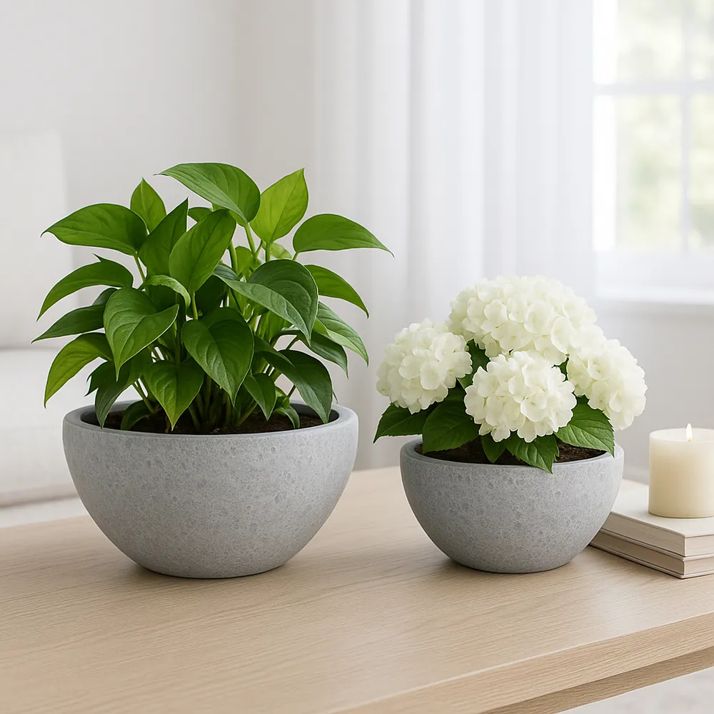 BYRONHAM SET OF 2 WHITE PLANTER 6 (IN)