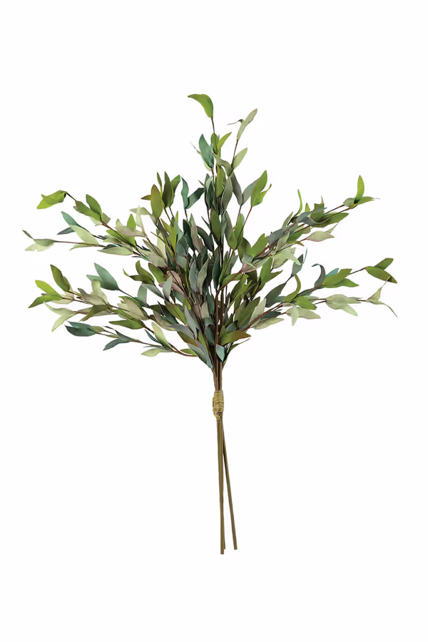 Botanica #2397