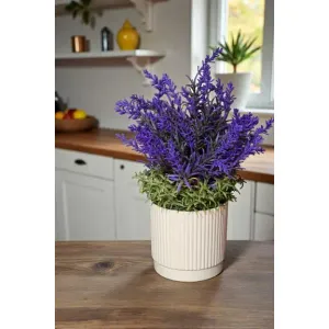 Tranquil Lavender 13in 1