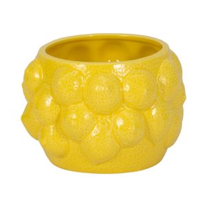CALWIND YELLOW PLANTER 5 (IN) 1