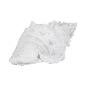 BROGANTON WHITE DECOR 5 (IN) 3