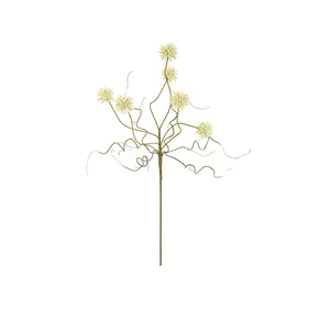 Botanica #2443 4