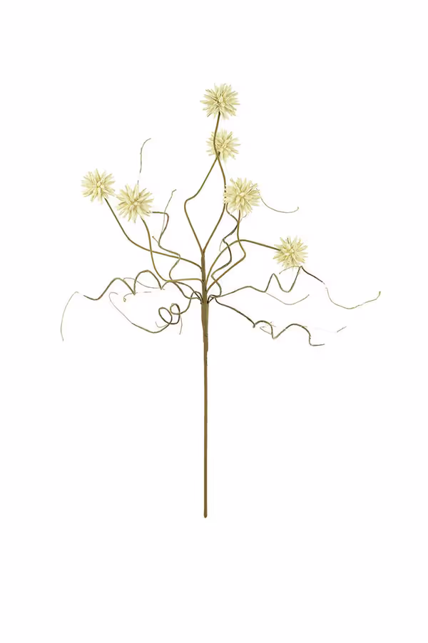 Botanica #2443