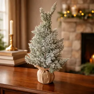 Frosty Christmas 23in Potted Tree 1